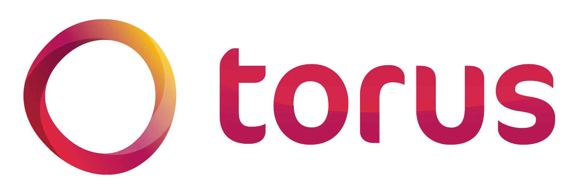 Torus logo landscape large